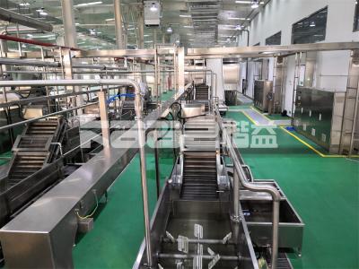 中国 電動のニンニクスライス乾燥機 ベルトコンベヤー デヒドレーター ニンニク乾燥設備 ニンニクジンジャー乾燥機 販売のため
