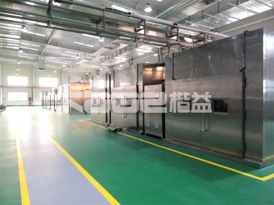 China High Quality PLC Control Fruit Microwave Drying Conveyor Belt Microwave Tunnel Dryer Machine for sale