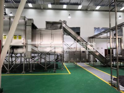 China Gas Drying Conveyor Dryer Machine Multi Layer Conveyor Mesh Belt Dryer For Grain Corn for sale