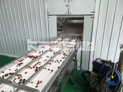 400kg/Batch Industrial Tray Dryer Hot Air Drying Oven Auto Spice Drying  Machine