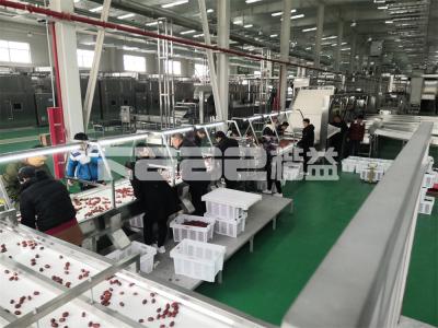 Chine 3 couches de convoyeur IR tunnel sécheuse machine de fruits et légumes tunnel et sécheuse à bande continue à vendre