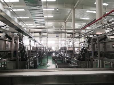 China Fruits Vegetables Mesh Belt Dryer Machine Conveyor Pet Feed Machine Dryer For Vegetables for sale