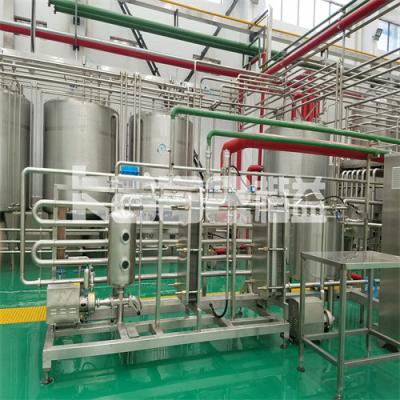 China Máquina automática de extracción de jugo de bayas procesamiento de cítricos y verduras lechuga lavadora de verduras lavadora en venta