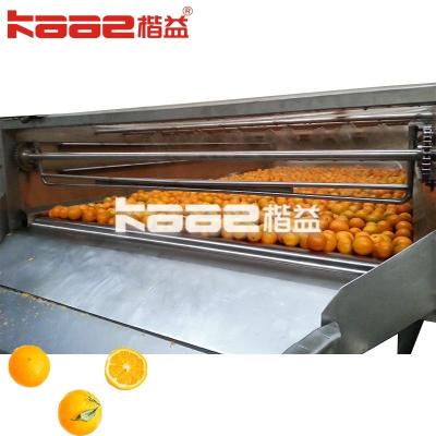 China Automatic Juice Squeezer Freshly Squeezed Juice Production Line SUS304 for sale