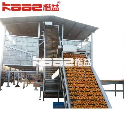 China Turnkey Project Automatic Juice Production Line Processing Machine With Mechanical for sale