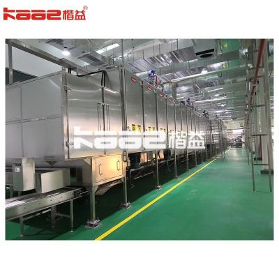 China 500-1800kg/H Design para diferentes países Máquina de secagem de transportador à venda