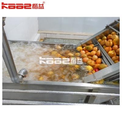 Chine Machine complète de traitement du jus de mangue 1 t/h~20 t/h ou personnalisée à vendre