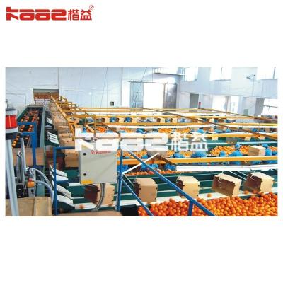 China Automatic Photoelectric Fruit Sorting System Equipment For Grading Of Fruits And Vegetables for sale