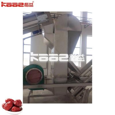 China Dates Jujube Processing Machinery Palm Dates Washing Sorting System Machine à venda
