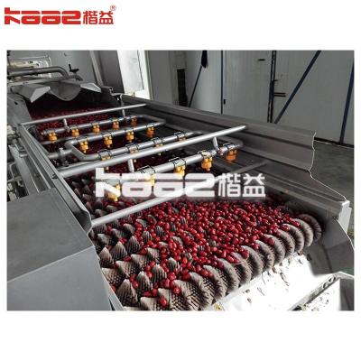 China New Design Dates Processing Machine Low Consumption For Industrial Usage for sale