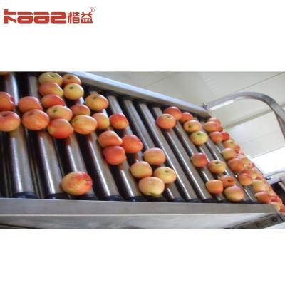 China Accurate Weight Sorting Automatic Apple Grading Machine For Food for sale
