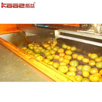 中国 Kaae Grading Automatic Fruit Sorting Machine Vegetable Apple Orange Potato Accurate 販売のため