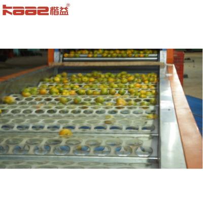 China Máquina de clasificación automática de frutas de alta velocidad en venta