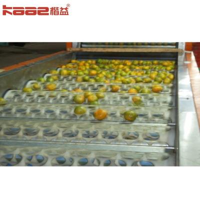China Meer handig Automatische Automatische Fruitsorting Machine By Size Sorter Grader Machine Te koop
