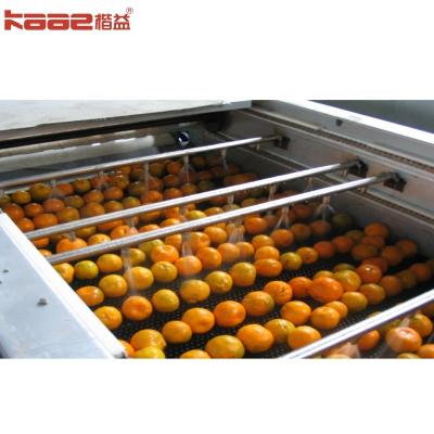 Chine Machines à tri automatique de fruits en acier inoxydable complet Machines de traitement à vendre