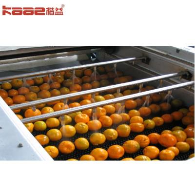 Chine Machine automatique de tri des fruits en acier inoxydable et machine de tri des fruits et légumes à vendre