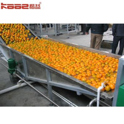 China Precio mayorista Máquina automática de clasificación de frutas Máquina electrónica de clasificación de peso de frutas en venta