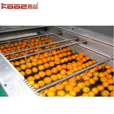 China KAAE Automatic Smart Fruit And Vegetables Grading Weight Sorting Machine for sale
