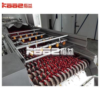 China Industrial Fresh Vegetable Fruits Cleaning Drying Processing Machinery Dry Dates Machine for sale