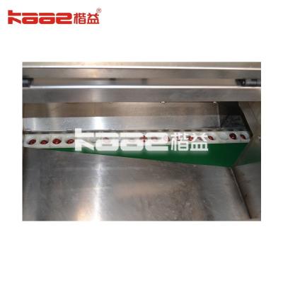 中国 SUS304 Stainless Steel Jujube Dates Processing Machine With Sorting And Drying 販売のため