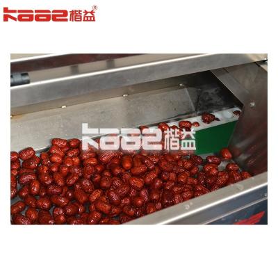 China Fruits Washing Drying Equipment Dates Processing Machine For Industrial Use for sale