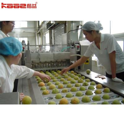 China Fornecido vídeo de saída-inspecção 220V/380V linha de produção de alimentos enlatados à venda