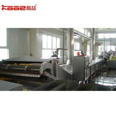 China Orange Peach Pineapple Apple Canning Machine Production Line Fruit Processing Line for sale