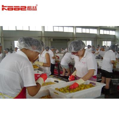China Canned Food Pear Strawberry And Vegetables Making Machine Production Line à venda