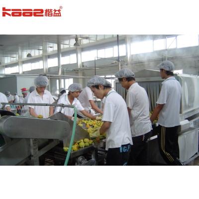 China Automatic State-Of-The-Art Canned Food Production Line For Modern Food Industry for sale