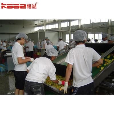 China Simple Operation 3pH 380V 50/60Hz Canned Food Production Line for sale