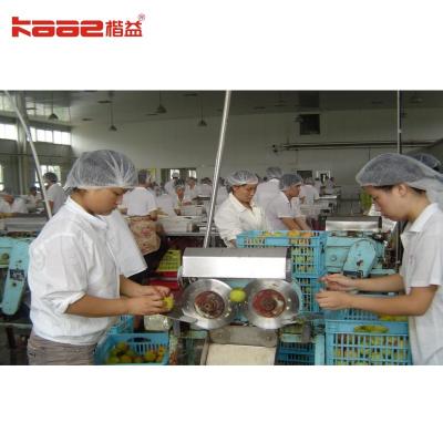 中国 Food Grade Stainless Steel Material Lifting Canned Food Production Line 販売のため
