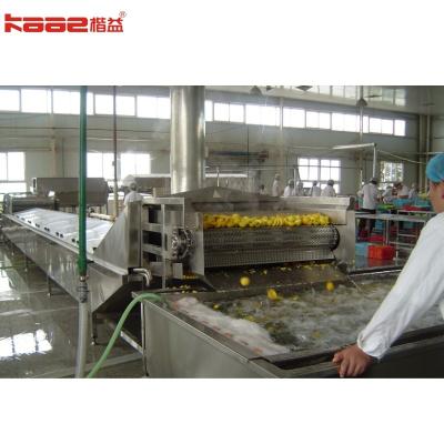 China Customized Specification Bubble Lifting Washing Canned Food Production Line à venda