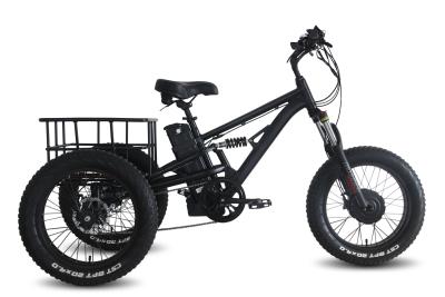 China 48V 750W Electric Bike Tricycle Fat Tire 7 Speeds With Front And Rear Baskets for sale