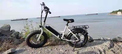 China ( OEM Factory ) 48V 250W Fat Tyre Electric Bikes , 20 Inch Electric Assist Bicycle for sale