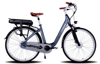 Cina Bici elettrica femminile della gomma di Kenda, la bici elettrica delle donne dell'incrociatore con aiuto del pedale in vendita