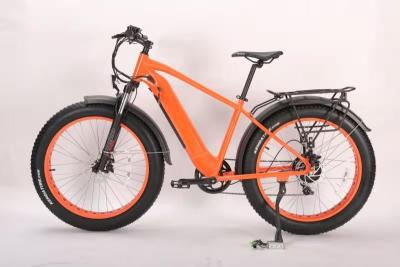 China Mechanical Disc Brake Electric Assist Mountain Bike 500W 750w high speed for sale