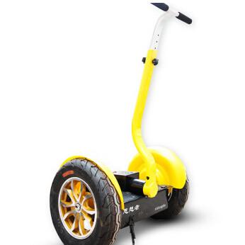 China China Electric  Scooter Factory Manufacturer Supplier Self balancing  Two Wheel Segway Smart Scooter for sale