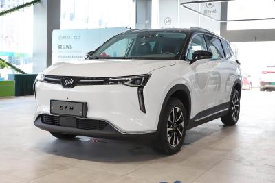 China Weima W6 New Energy Weltmeister Medium Full Electric SUVs 160kW for sale