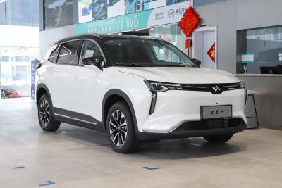 China Weima W6 Ex5 2023 Full Electric SUVs LHD 5 Seat 4 Doors for sale