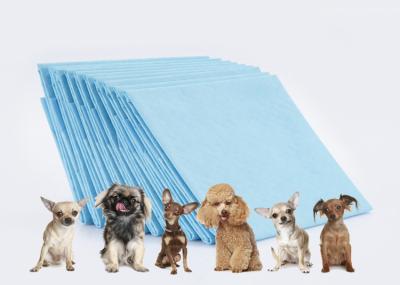 China Hospital Pet Training Pads Adult Disposable Underpads ISO OEM for sale