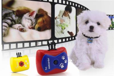 Chine Belles vidéo d'appareil-photo d'action des animaux 720P/voix Reocorder pour le caméscope d'animal familier de chien ou de chat à vendre
