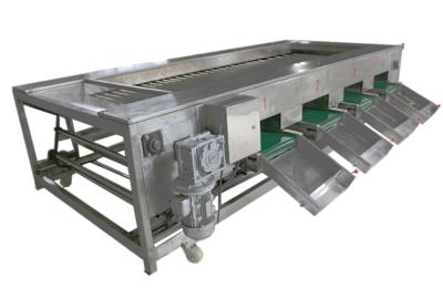 China Maschinerie der Lebensmittelverarbeitungs-2000kg/h, Gemüsefrucht, die Ausrüstung sortiert zu verkaufen