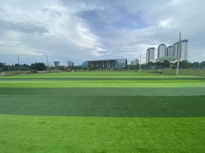 China 60mm Football Ground Artificial Grass Carpet Environment Friendly for sale