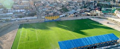 中国 現実的な一見60mmの高さの人工的なサッカーの草の単繊維の構造 販売のため