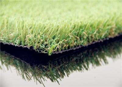 China hierba artificial del jardín del chalet de la pared de 10m m, césped falso 6800 Dtex del jardín en venta