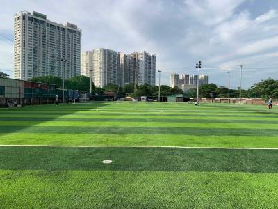 China Artificial Grass Custom Football Outdoor Sports Football Soccer Grass 60mm for sale