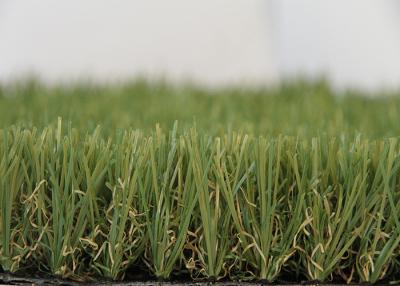 China Natural Looking Pet Artificial Turf Landscaping High Density Eco-Friendly for sale