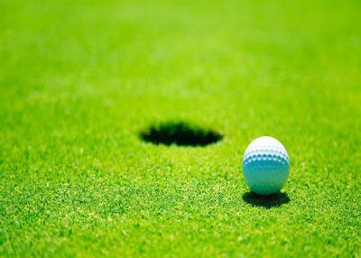 Chine Vrai bureau de regard/golf d'intérieur résidentiel mettant Mat Waterproof Artificial Grass à vendre