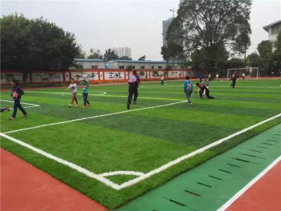 China Durable False Turf Playground Soccer Synthetic Grass Environment Friendly for sale