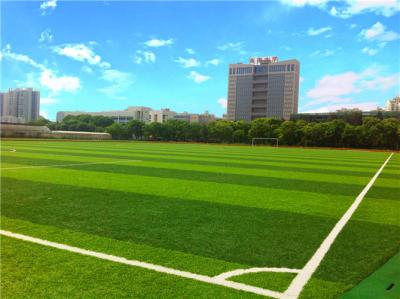 Chine Herbe synthétique de terrain de jeu professionnel, norme synthétique de la FIFA de gazon de terrain de jeu à vendre